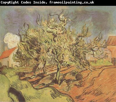 Vincent Van Gogh Landscape with Three and a House (nn04)